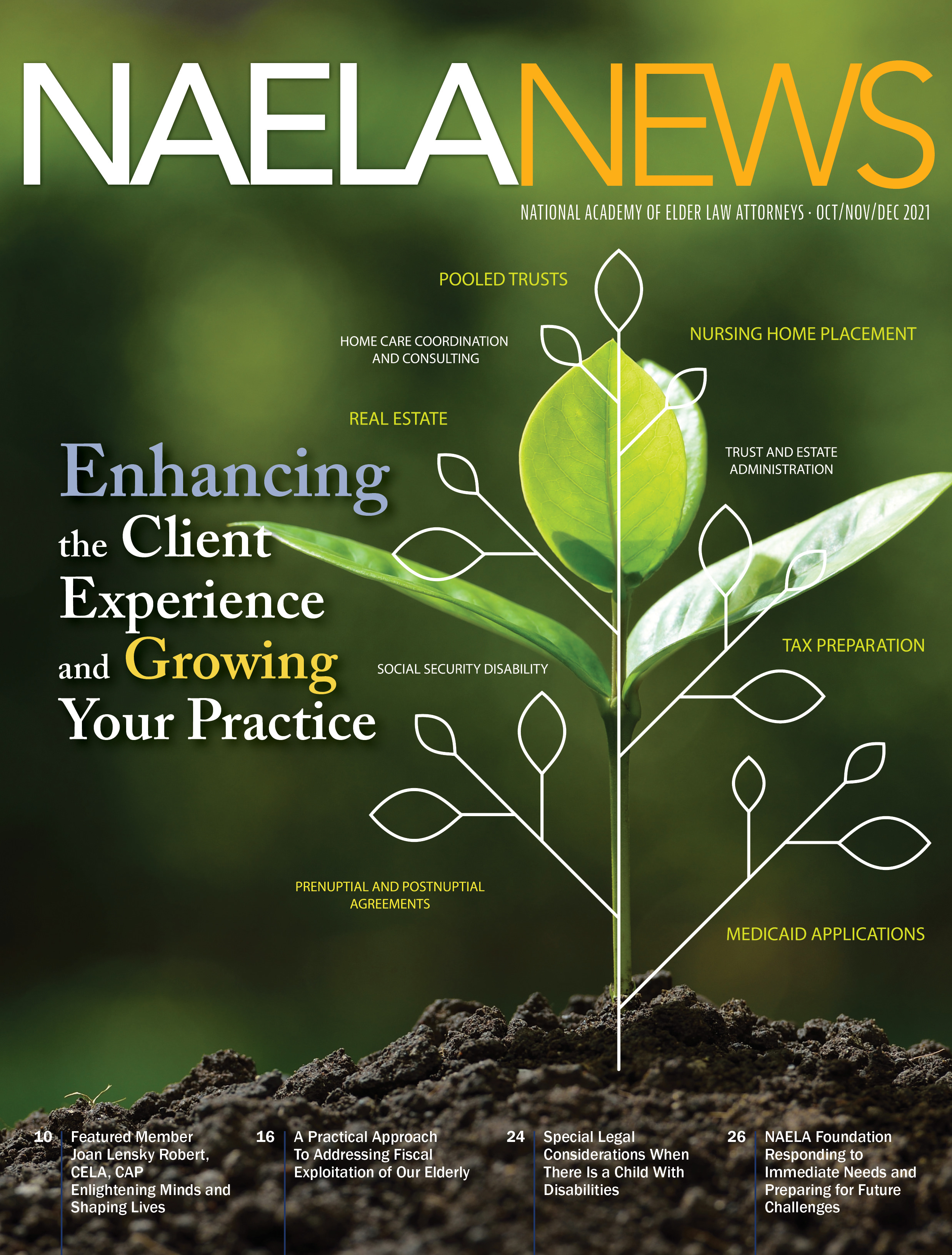 NAELA News Volume 33 Issue 4 cover